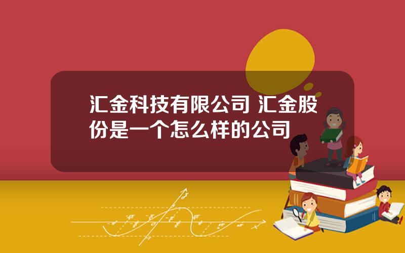 汇金科技有限公司 汇金股份是一个怎么样的公司